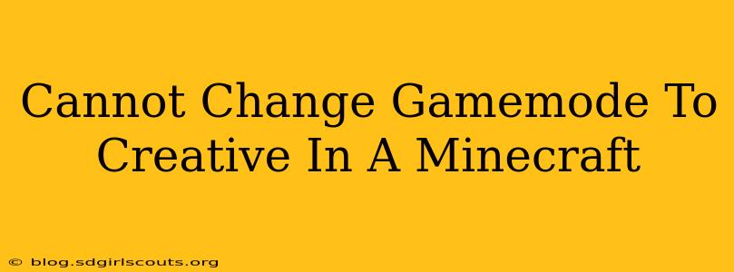 Cannot Change Gamemode To Creative In A Minecraft