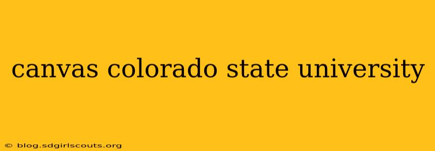 canvas colorado state university