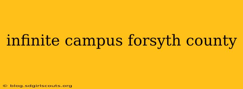 infinite campus forsyth county