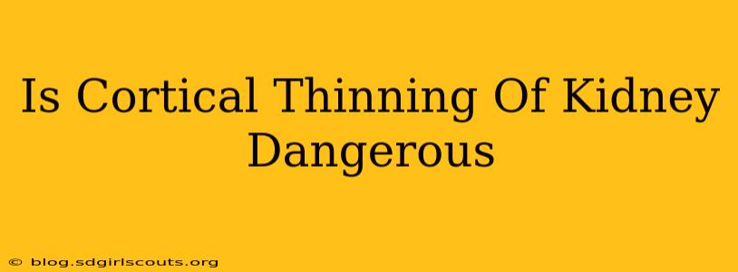 Is Cortical Thinning Of Kidney Dangerous