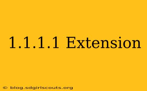 1.1.1.1 Extension