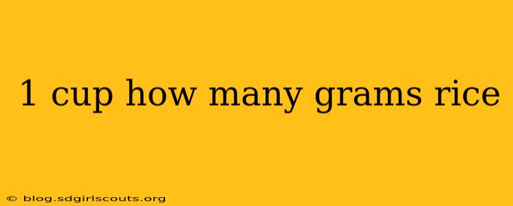 1 cup how many grams rice