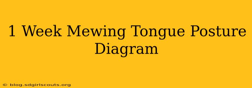 1 Week Mewing Tongue Posture Diagram