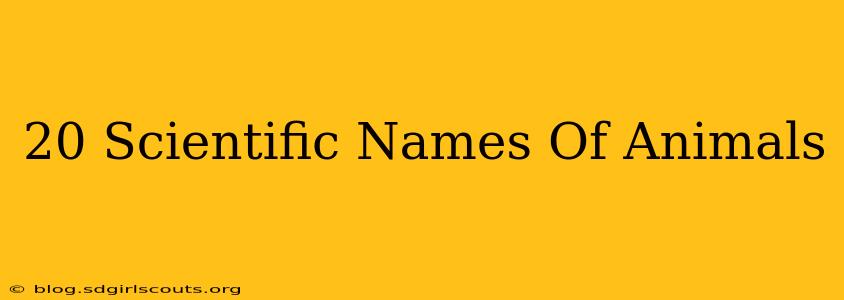 20 Scientific Names Of Animals