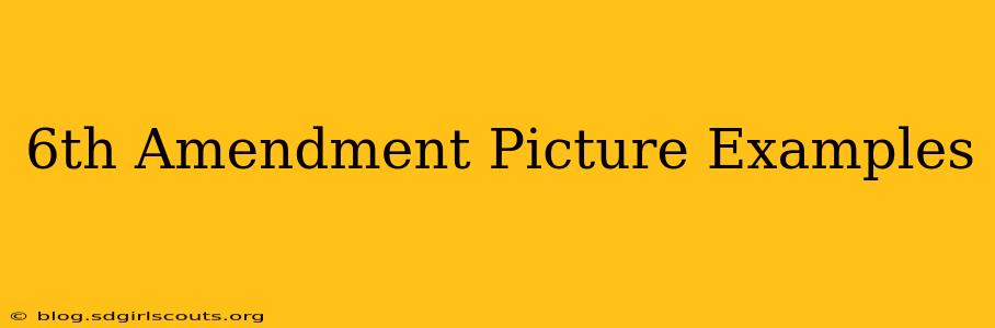 6th Amendment Picture Examples