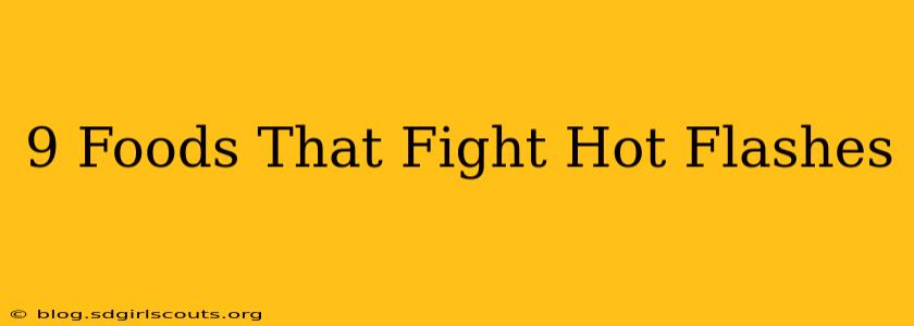 9 Foods That Fight Hot Flashes