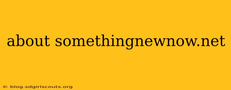 about somethingnewnow.net