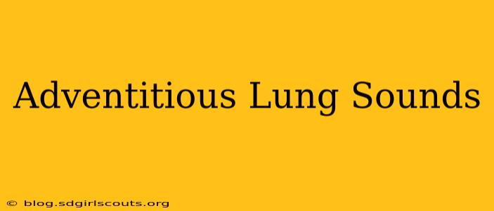 Adventitious Lung Sounds