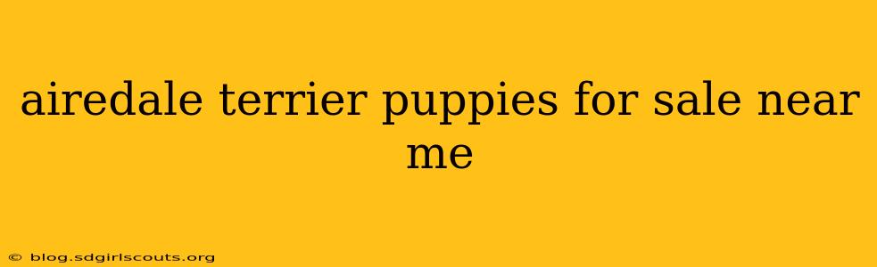 airedale terrier puppies for sale near me