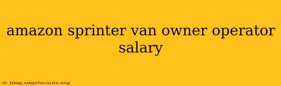 amazon sprinter van owner operator salary