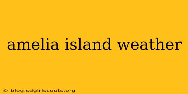 amelia island weather