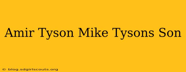 Amir Tyson Mike Tysons Son