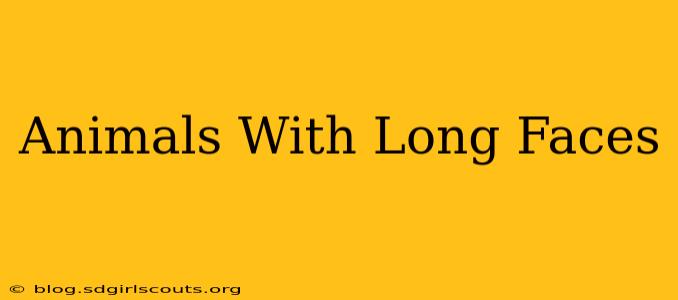 Animals With Long Faces
