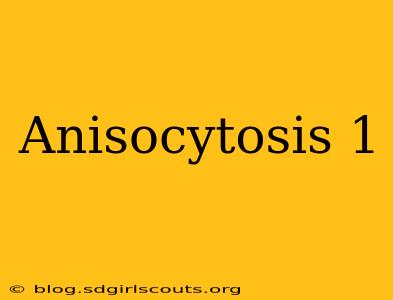 Anisocytosis 1