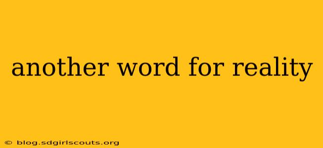 another word for reality