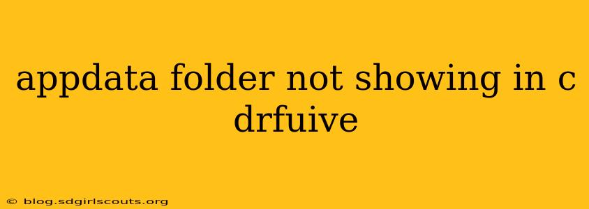 appdata folder not showing in c drfuive