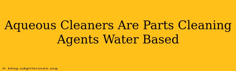 Aqueous Cleaners Are Parts Cleaning Agents Water Based