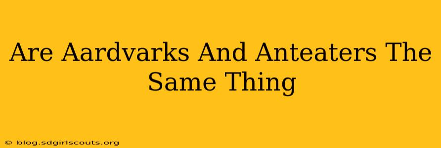 Are Aardvarks And Anteaters The Same Thing