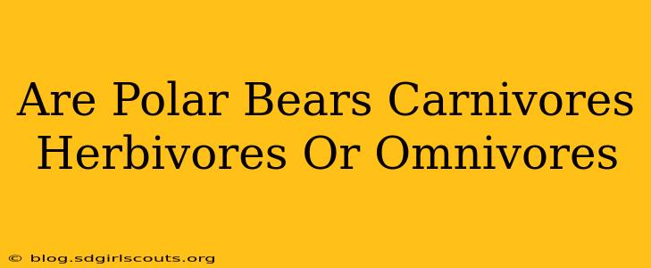 Are Polar Bears Carnivores Herbivores Or Omnivores