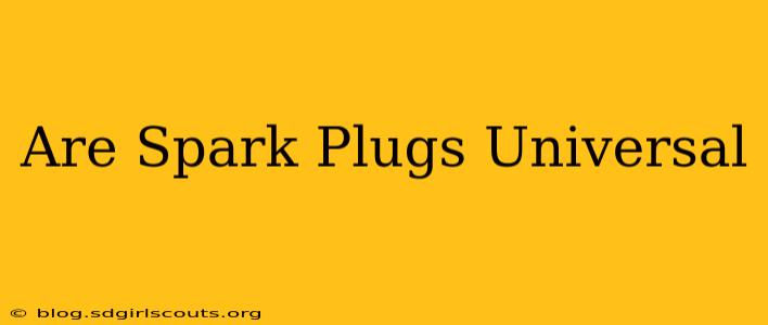 Are Spark Plugs Universal