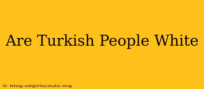 Are Turkish People White