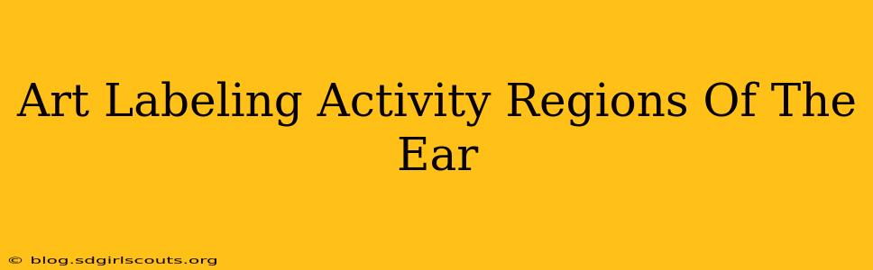 Art Labeling Activity Regions Of The Ear