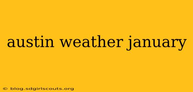 austin weather january