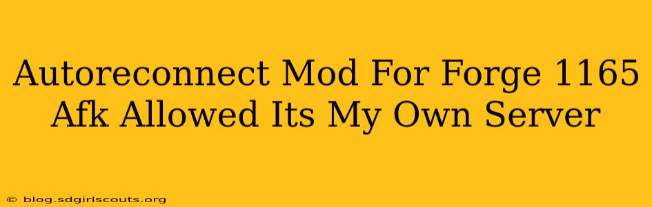 Autoreconnect Mod For Forge 1165 Afk Allowed Its My Own Server