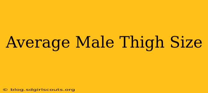 Average Male Thigh Size