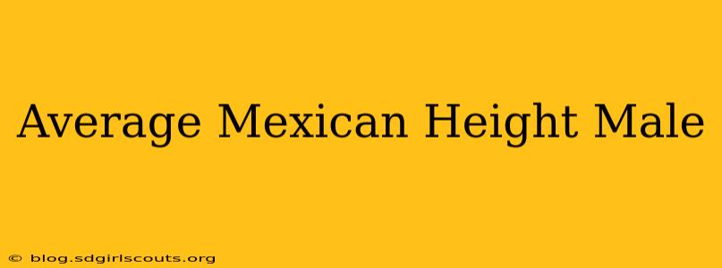 Average Mexican Height Male