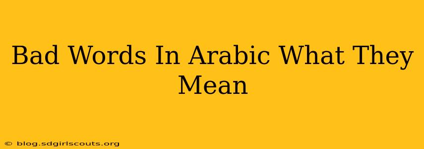 Bad Words In Arabic What They Mean