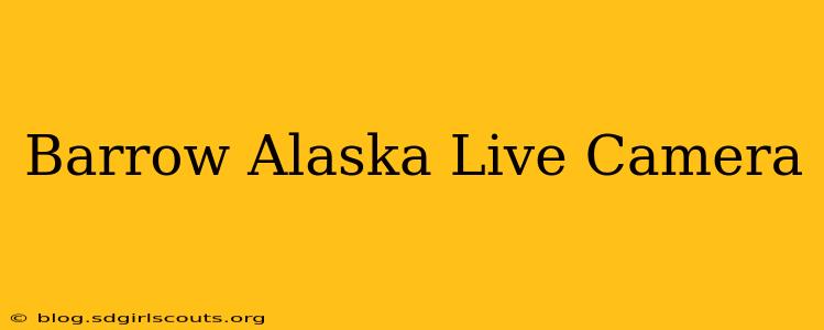 Barrow Alaska Live Camera