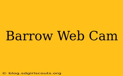 Barrow Web Cam