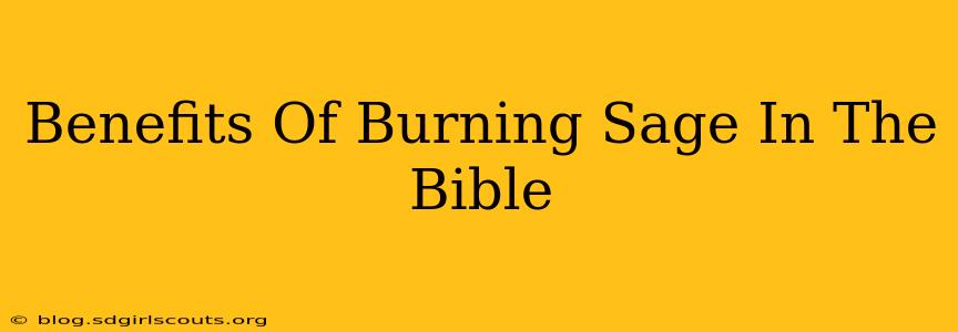 Benefits Of Burning Sage In The Bible