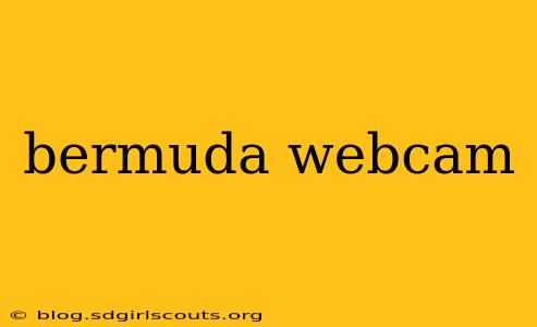 bermuda webcam