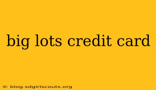 big lots credit card