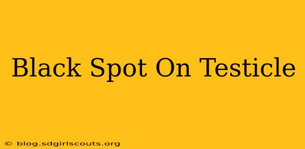 Black Spot On Testicle