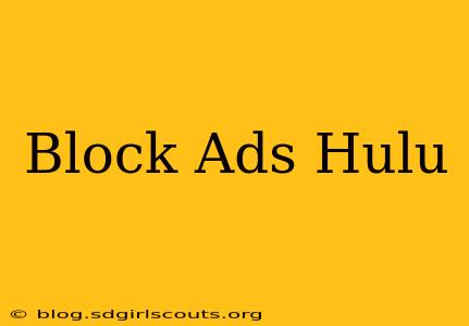 Block Ads Hulu