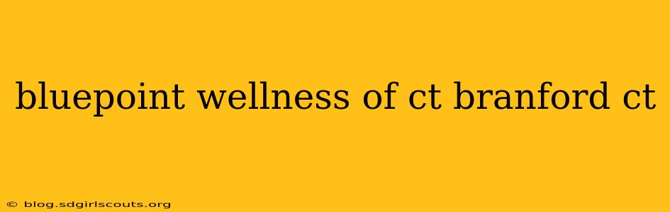 bluepoint wellness of ct branford ct
