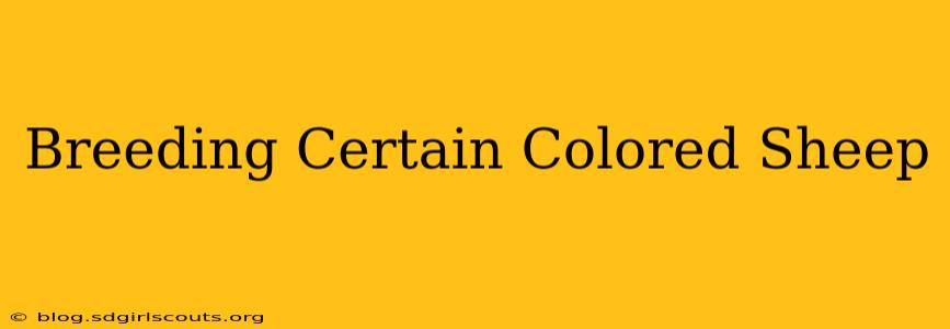 Breeding Certain Colored Sheep