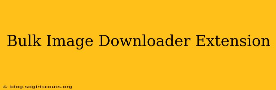 Bulk Image Downloader Extension