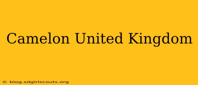 Camelon United Kingdom