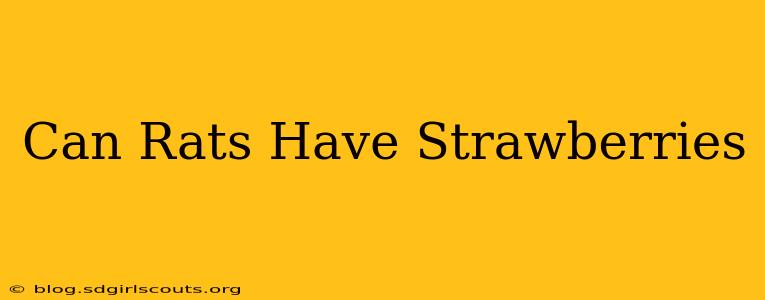 Can Rats Have Strawberries