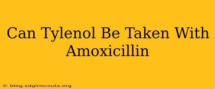 Can Tylenol Be Taken With Amoxicillin