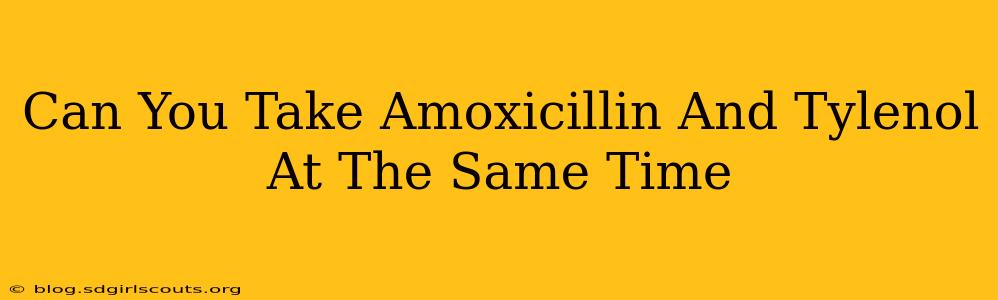 Can You Take Amoxicillin And Tylenol At The Same Time