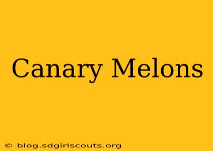 Canary Melons