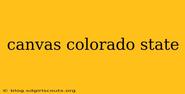 canvas colorado state