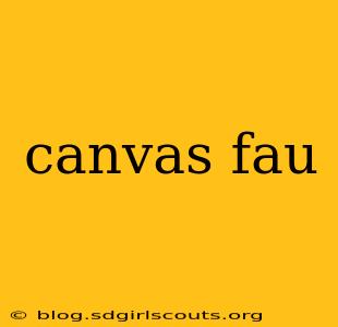 canvas fau