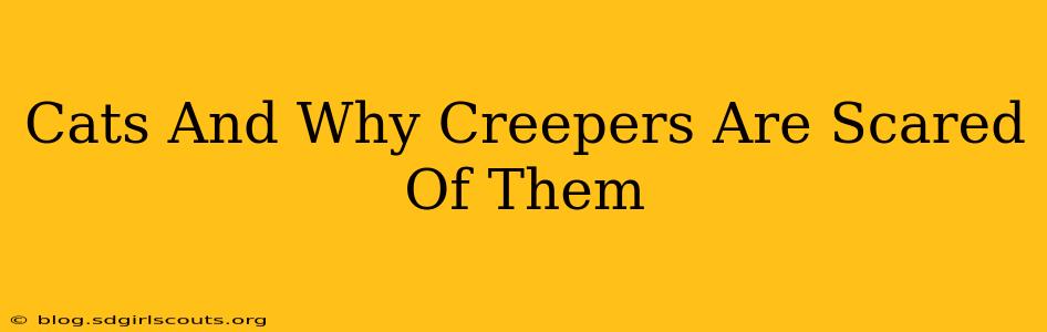 Cats And Why Creepers Are Scared Of Them