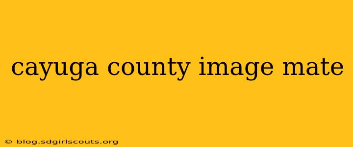 cayuga county image mate